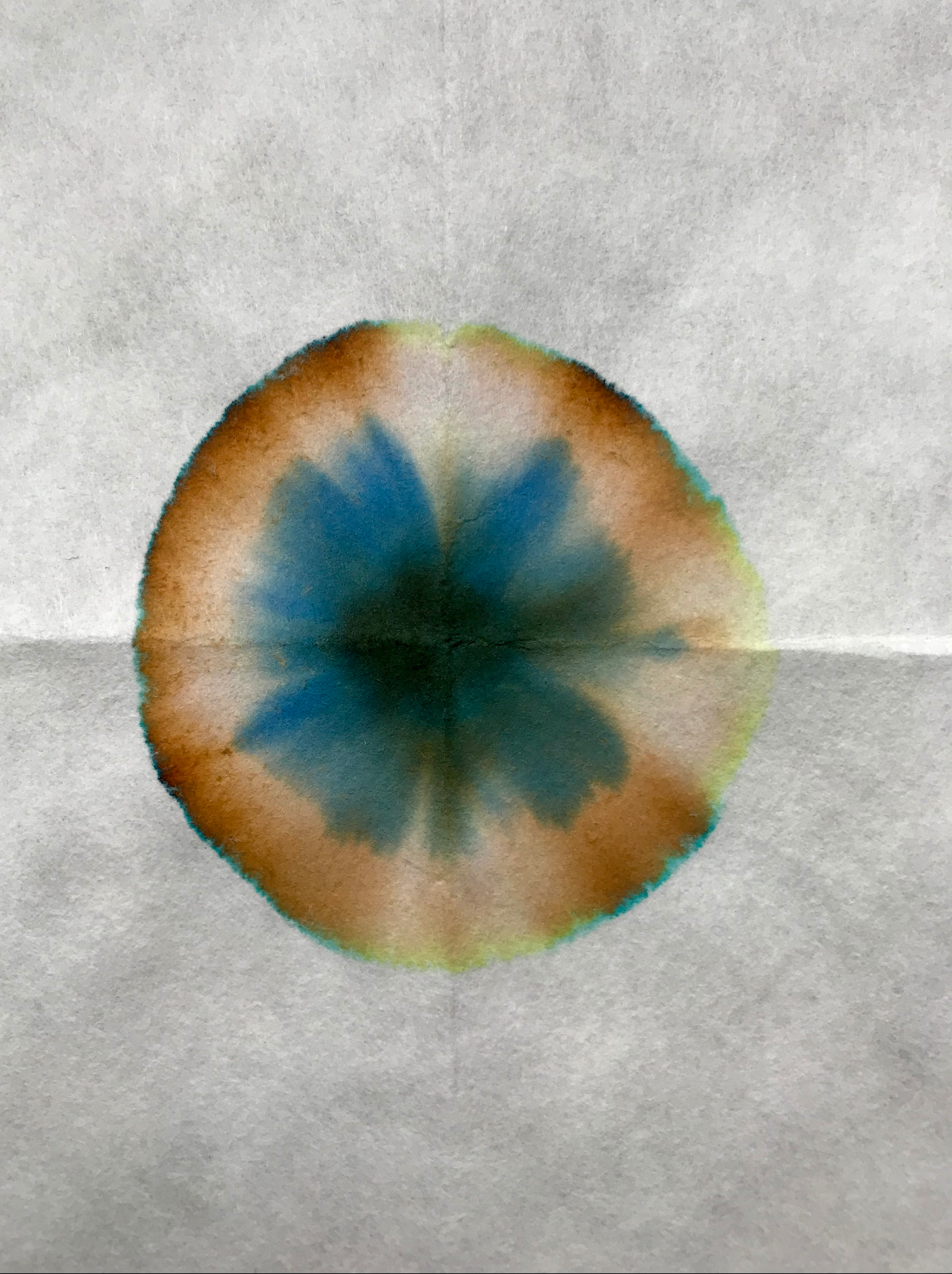 Sailor Rikyucha chromatography